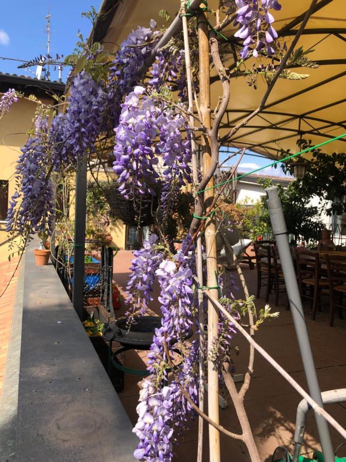 Touristic Apartment "Agata" Sirmione Exterior foto